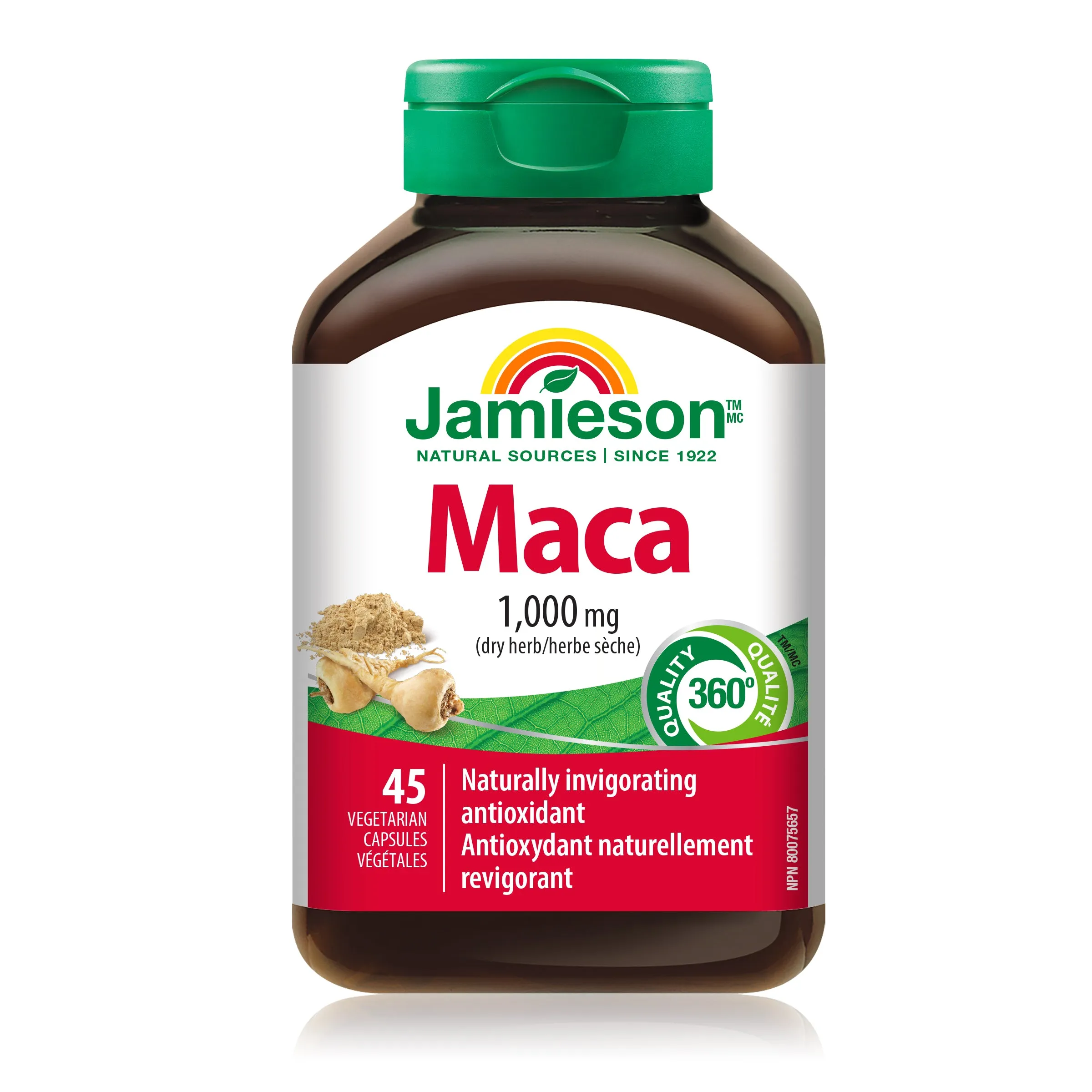 Maca