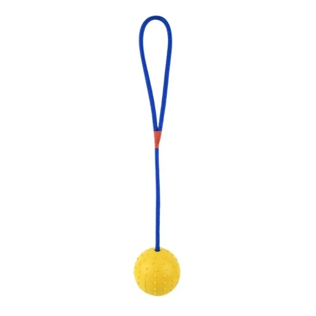 Rubber Ball with Rope, Fetch Toy